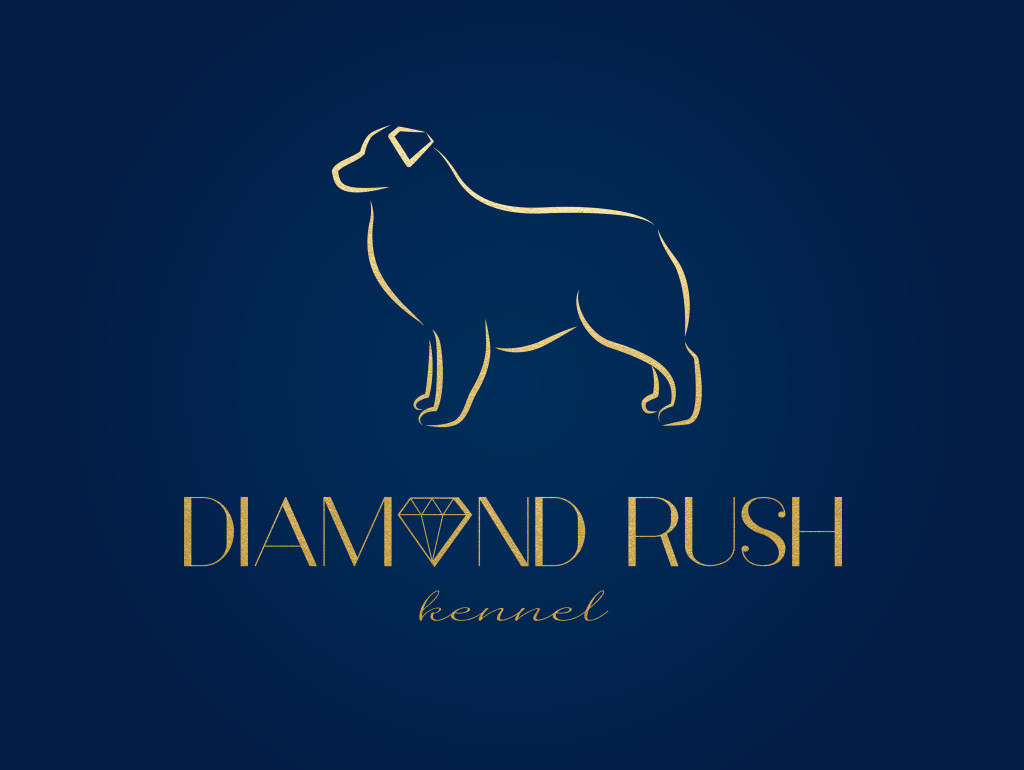 diamond_rush_logo_3a